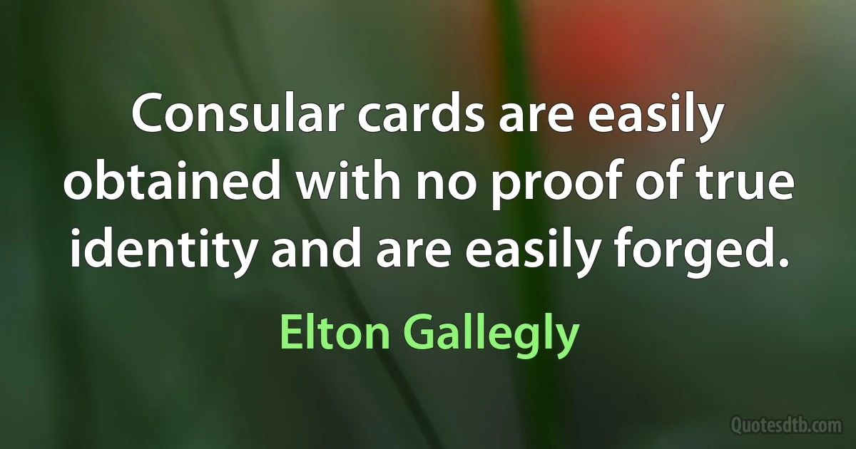 Consular cards are easily obtained with no proof of true identity and are easily forged. (Elton Gallegly)