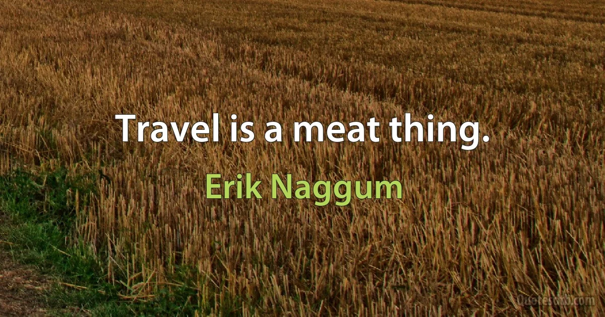 Travel is a meat thing. (Erik Naggum)