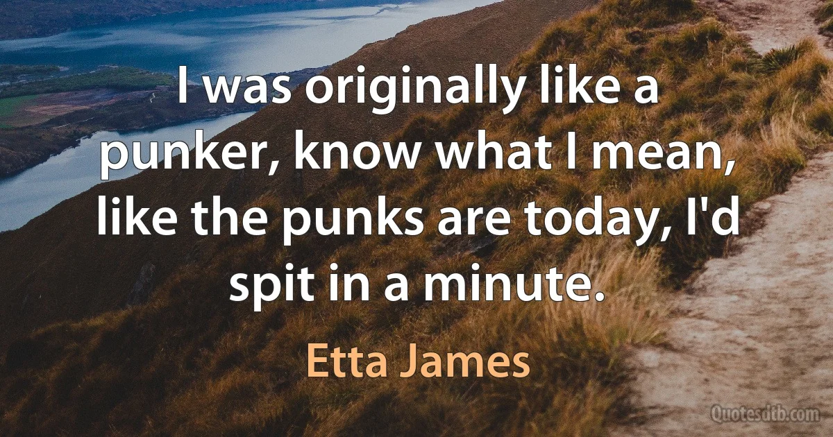 I was originally like a punker, know what I mean, like the punks are today, I'd spit in a minute. (Etta James)