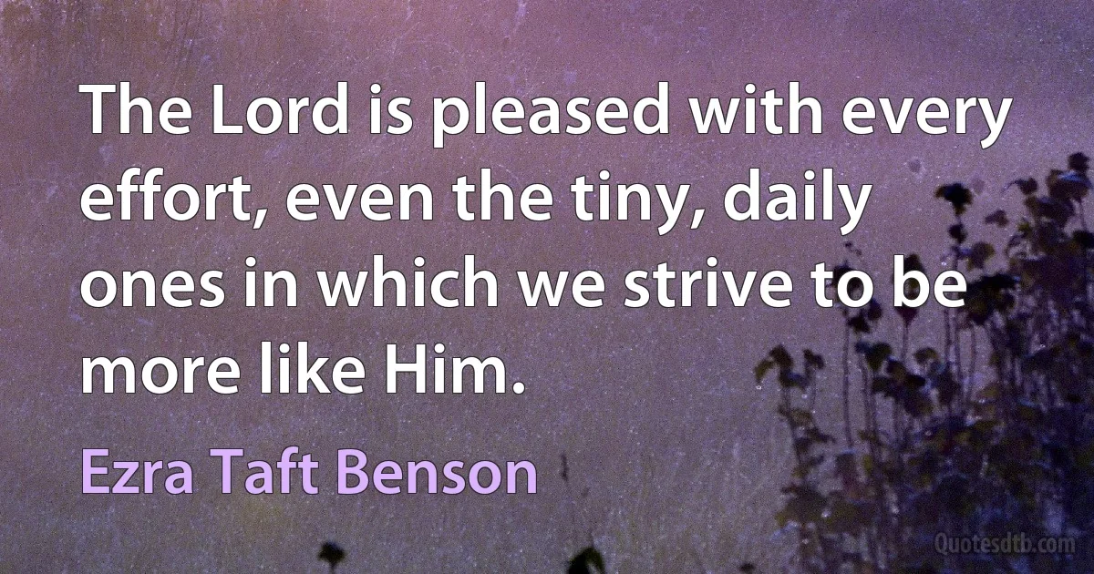 The Lord is pleased with every effort, even the tiny, daily ones in which we strive to be more like Him. (Ezra Taft Benson)