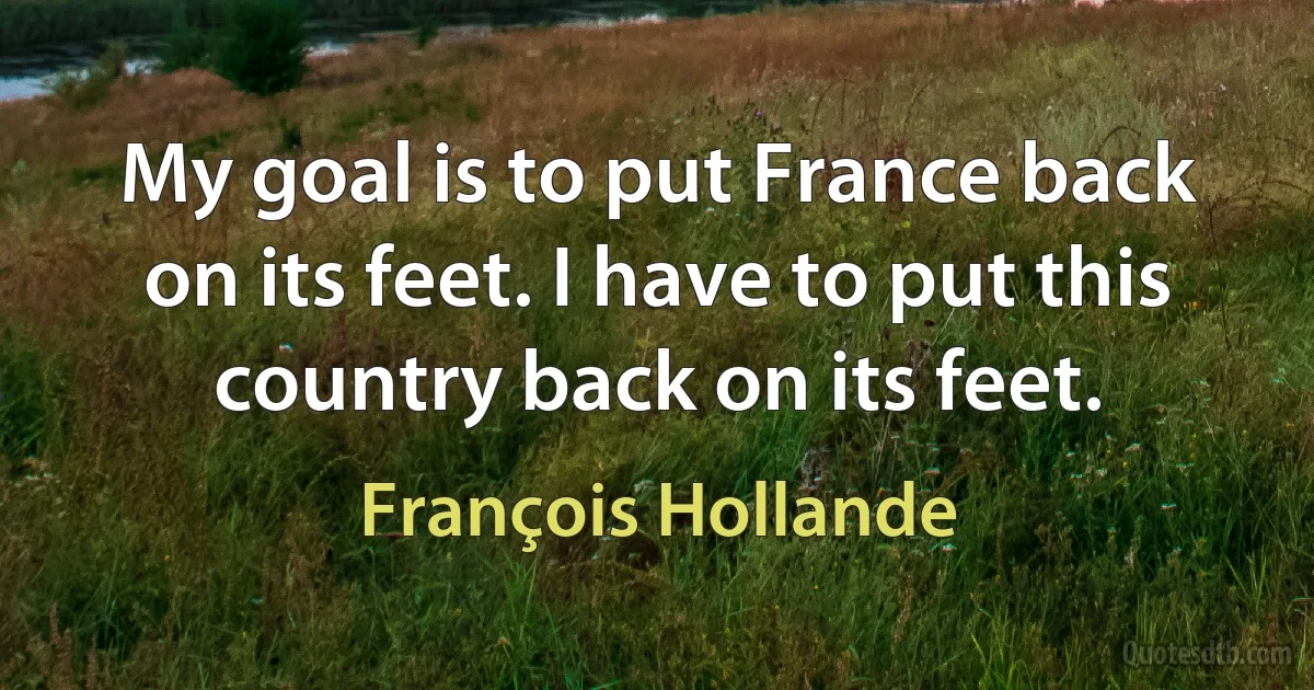 My goal is to put France back on its feet. I have to put this country back on its feet. (François Hollande)