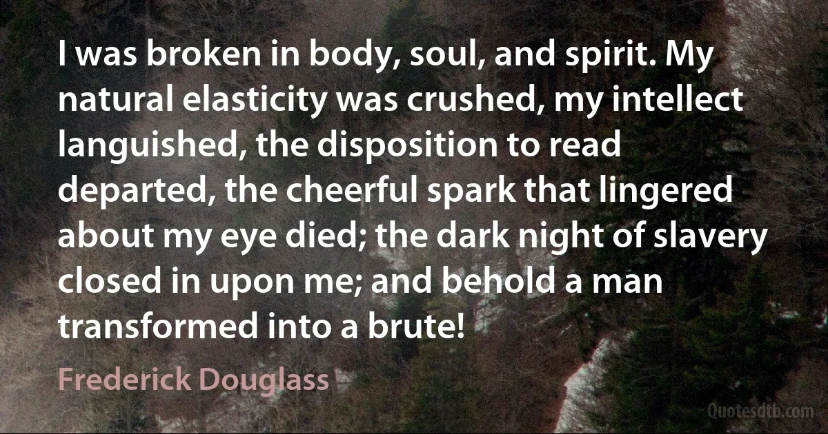 I was broken in body, soul, and spirit. My natural elasticity was crushed, my intellect languished, the disposition to read departed, the cheerful spark that lingered about my eye died; the dark night of slavery closed in upon me; and behold a man transformed into a brute! (Frederick Douglass)