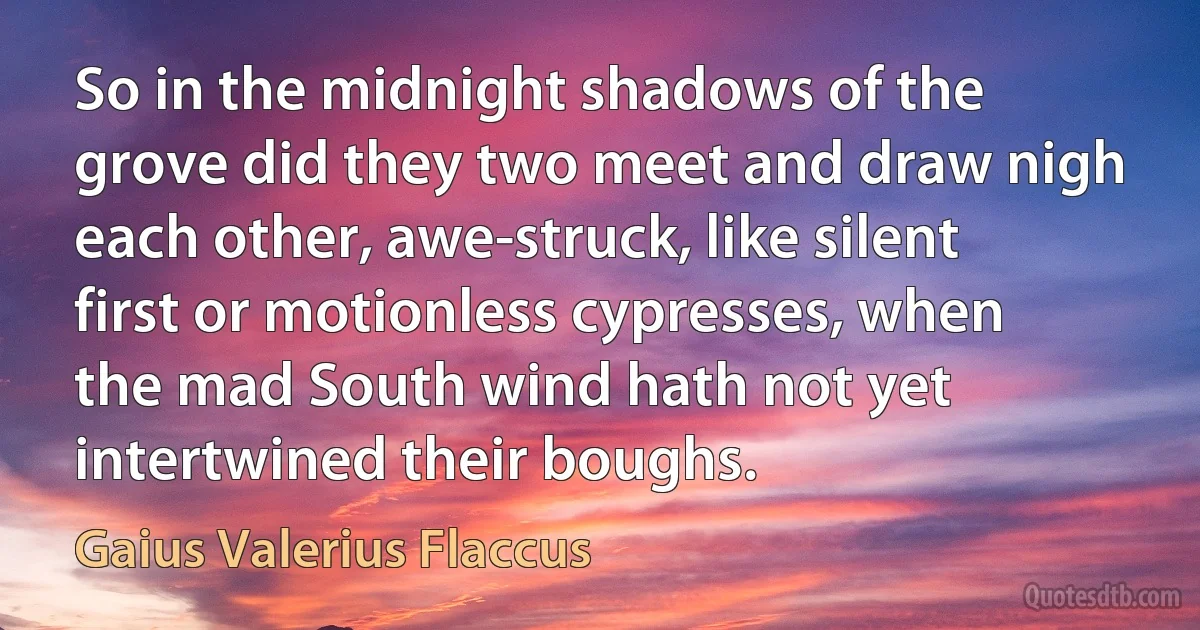 So in the midnight shadows of the grove did they two meet and draw nigh each other, awe-struck, like silent first or motionless cypresses, when the mad South wind hath not yet intertwined their boughs. (Gaius Valerius Flaccus)