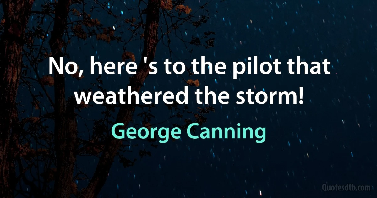 No, here 's to the pilot that weathered the storm! (George Canning)