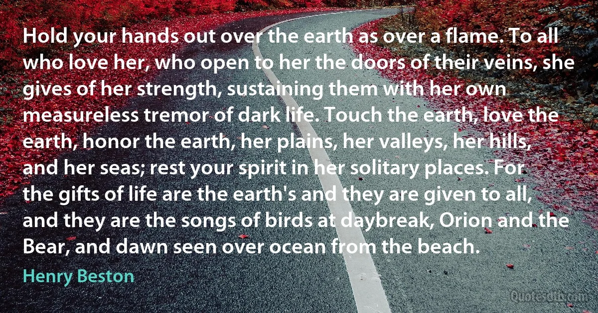 Hold your hands out over the earth as over a flame. To all who love her, who open to her the doors of their veins, she gives of her strength, sustaining them with her own measureless tremor of dark life. Touch the earth, love the earth, honor the earth, her plains, her valleys, her hills, and her seas; rest your spirit in her solitary places. For the gifts of life are the earth's and they are given to all, and they are the songs of birds at daybreak, Orion and the Bear, and dawn seen over ocean from the beach. (Henry Beston)