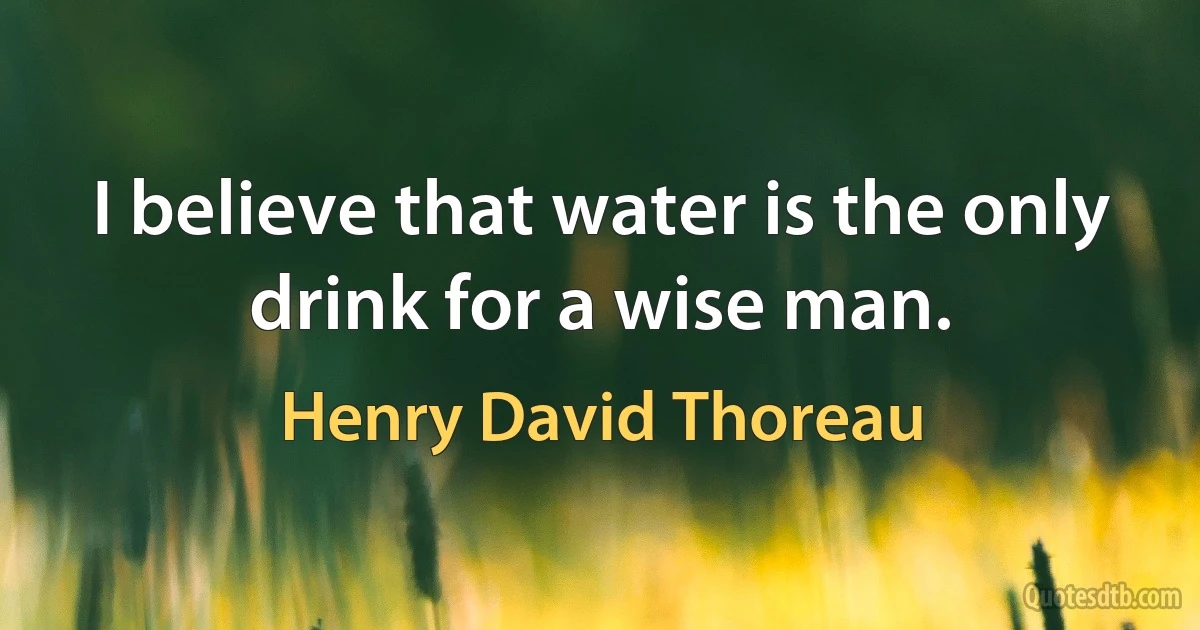 I believe that water is the only drink for a wise man. (Henry David Thoreau)