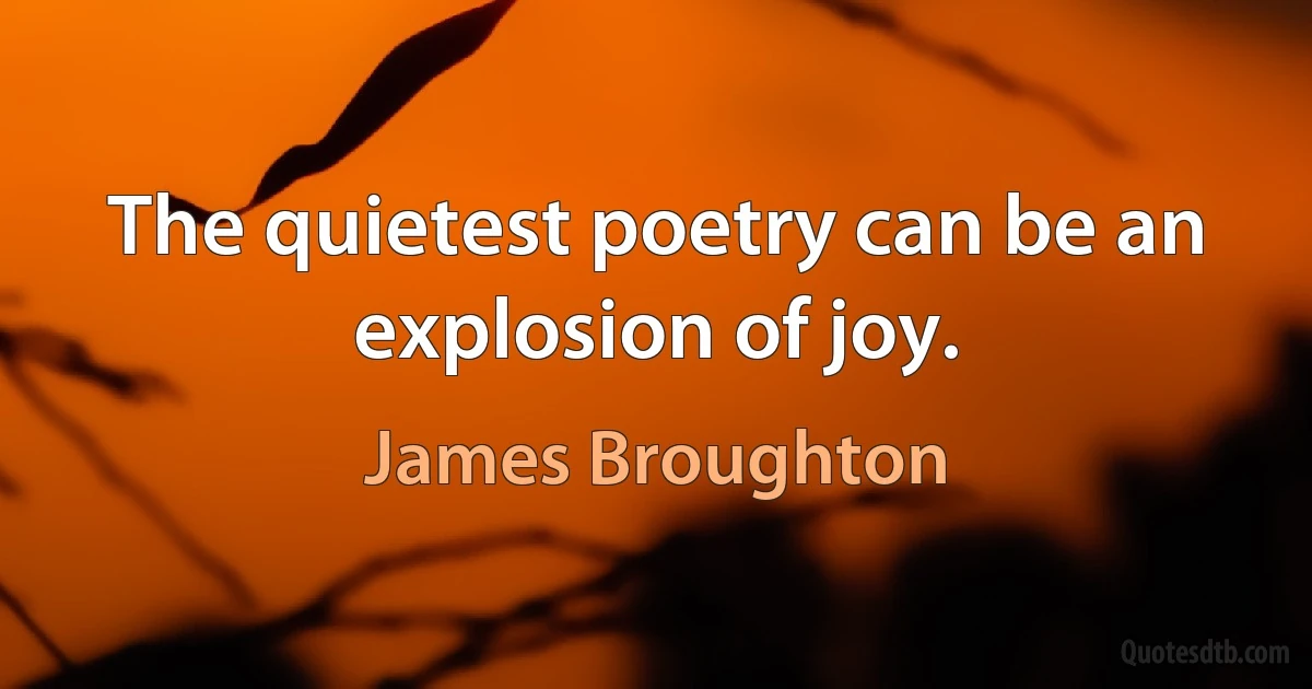 The quietest poetry can be an explosion of joy. (James Broughton)