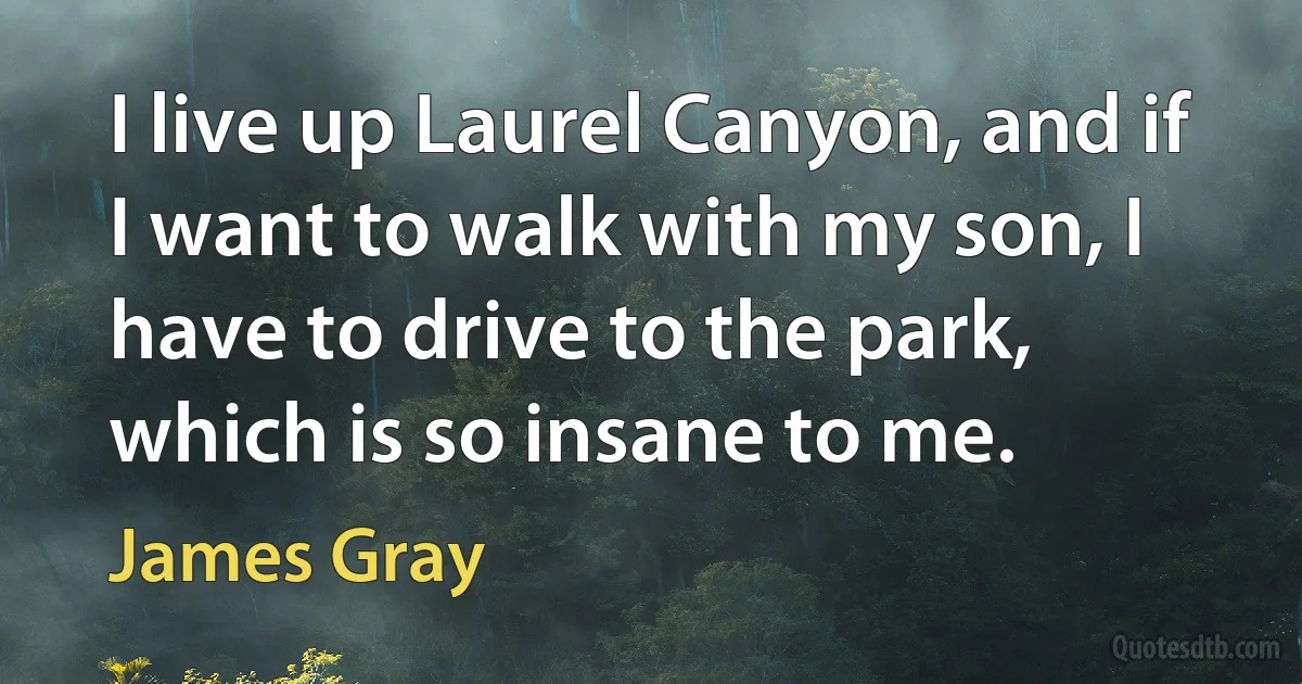 I live up Laurel Canyon, and if I want to walk with my son, I have to drive to the park, which is so insane to me. (James Gray)