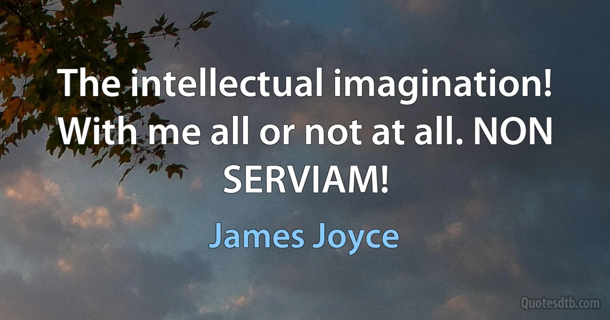 The intellectual imagination! With me all or not at all. NON SERVIAM! (James Joyce)