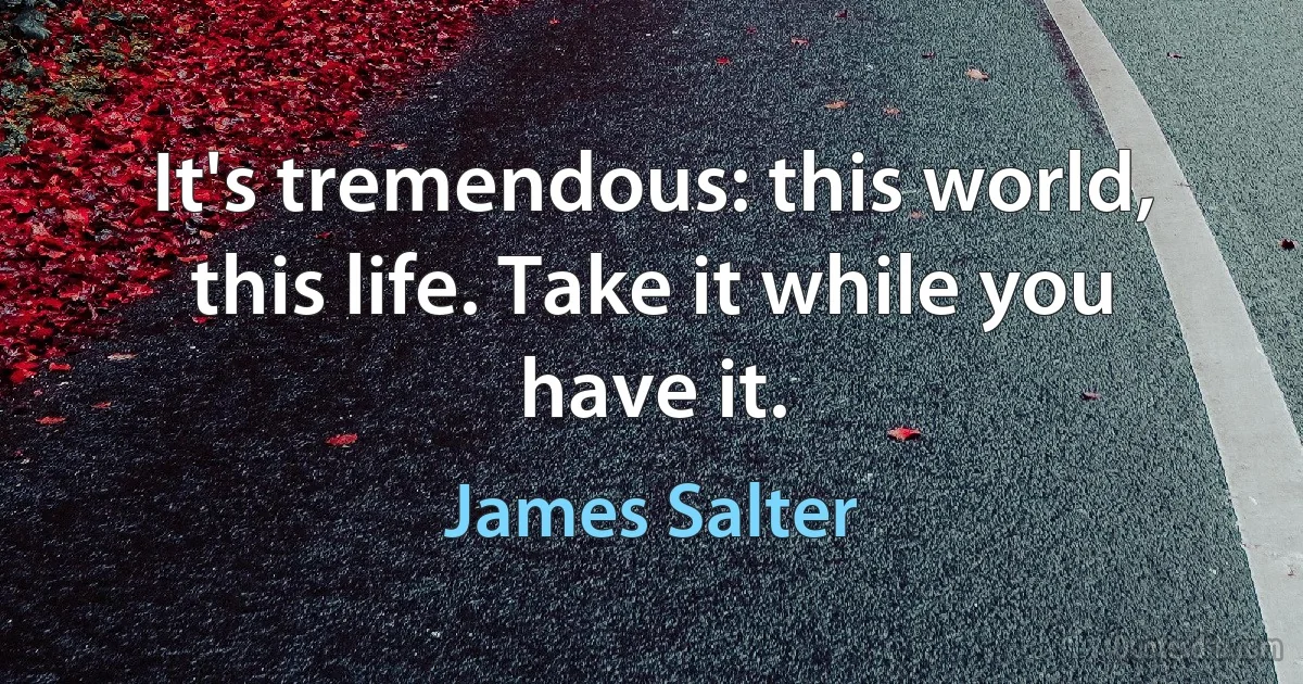 It's tremendous: this world, this life. Take it while you have it. (James Salter)