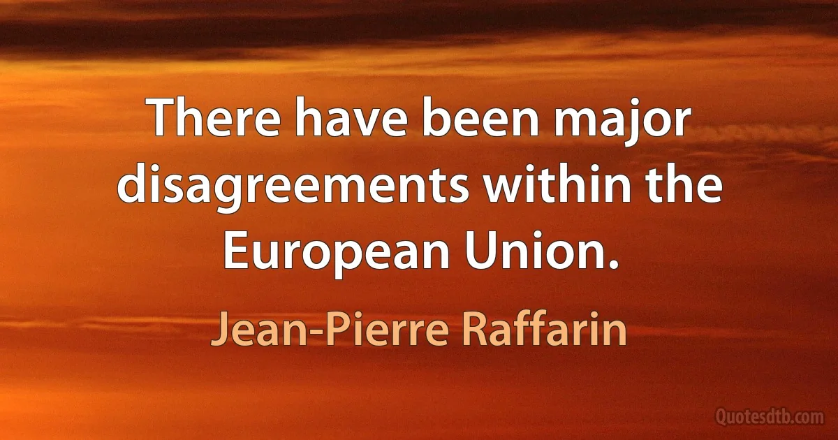 There have been major disagreements within the European Union. (Jean-Pierre Raffarin)