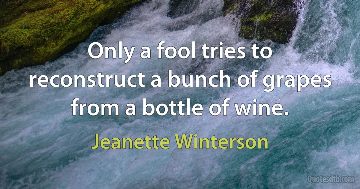 Only a fool tries to reconstruct a bunch of grapes from a bottle of wine. (Jeanette Winterson)