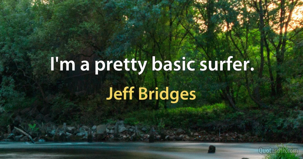 I'm a pretty basic surfer. (Jeff Bridges)