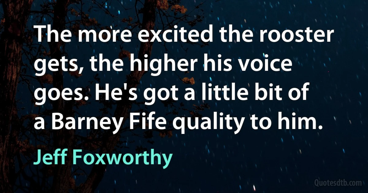 The more excited the rooster gets, the higher his voice goes. He's got a little bit of a Barney Fife quality to him. (Jeff Foxworthy)