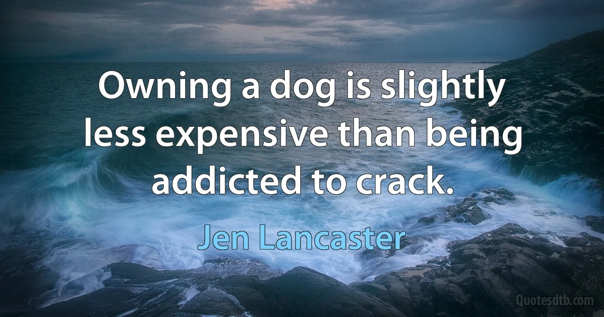 Owning a dog is slightly less expensive than being addicted to crack. (Jen Lancaster)