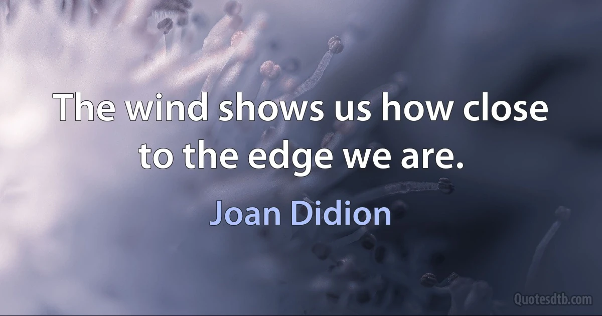 The wind shows us how close to the edge we are. (Joan Didion)