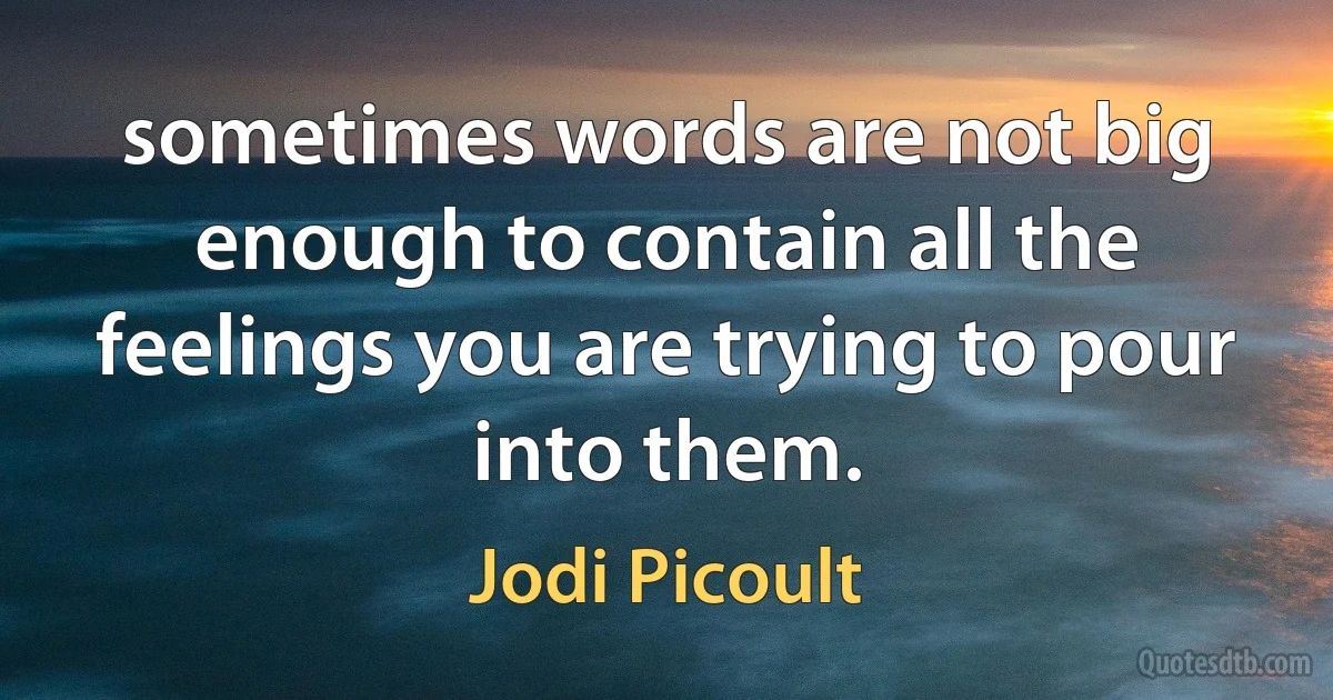 sometimes words are not big enough to contain all the feelings you are trying to pour into them. (Jodi Picoult)