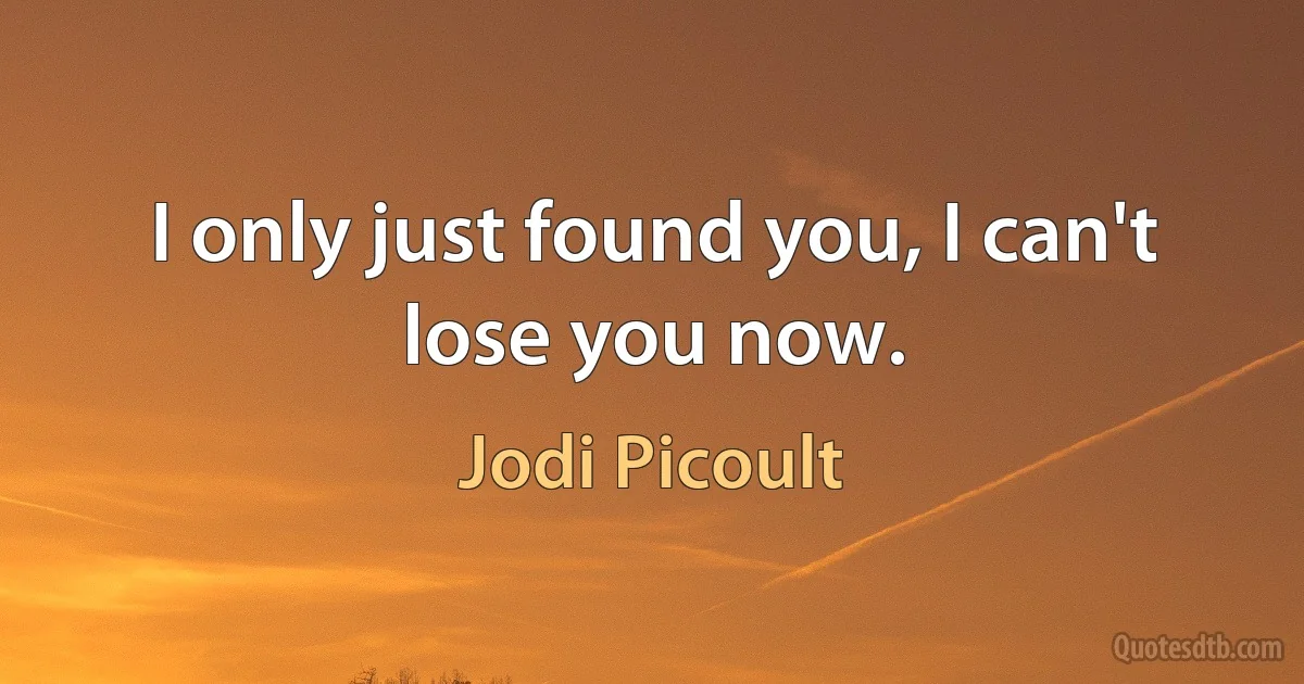 I only just found you, I can't lose you now. (Jodi Picoult)