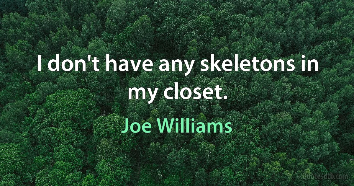 I don't have any skeletons in my closet. (Joe Williams)