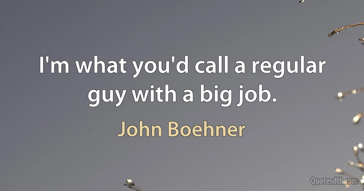 I'm what you'd call a regular guy with a big job. (John Boehner)