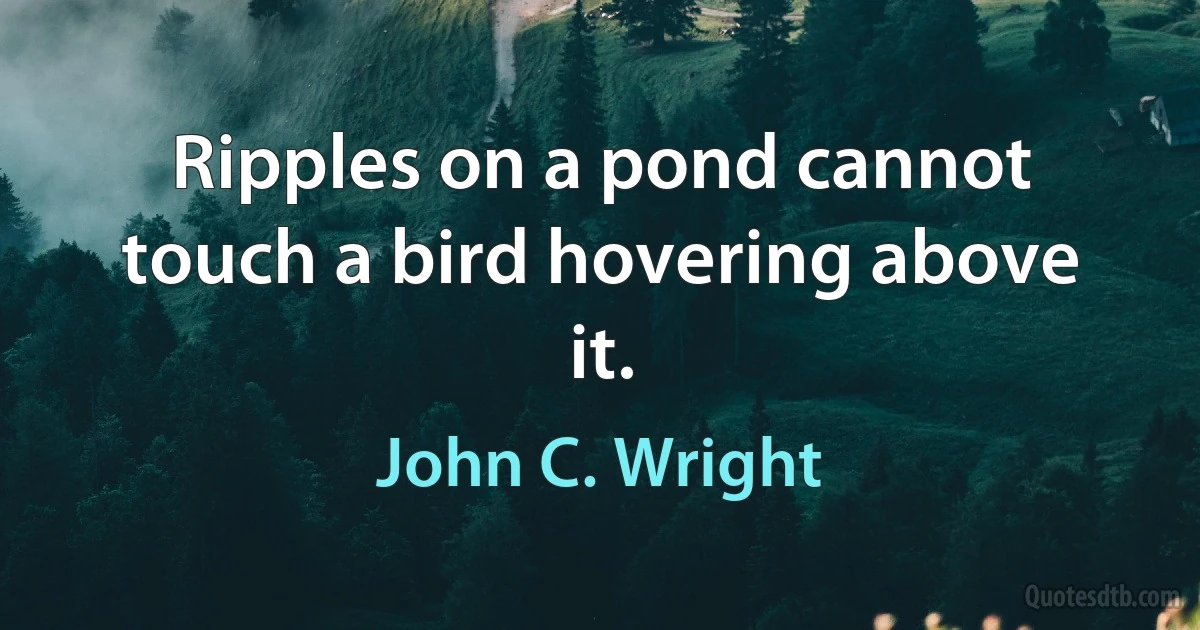 Ripples on a pond cannot touch a bird hovering above it. (John C. Wright)