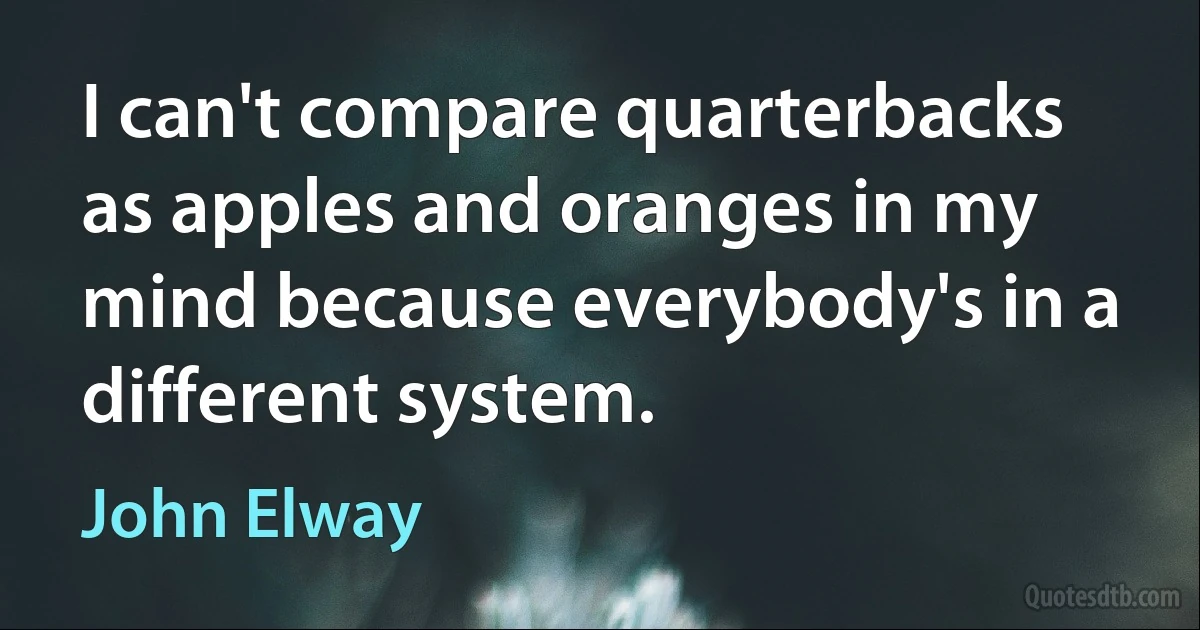 I can't compare quarterbacks as apples and oranges in my mind because everybody's in a different system. (John Elway)