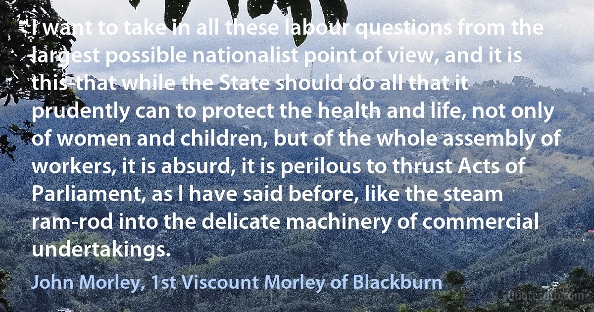 I want to take in all these labour questions from the largest possible nationalist point of view, and it is this-that while the State should do all that it prudently can to protect the health and life, not only of women and children, but of the whole assembly of workers, it is absurd, it is perilous to thrust Acts of Parliament, as I have said before, like the steam ram-rod into the delicate machinery of commercial undertakings. (John Morley, 1st Viscount Morley of Blackburn)