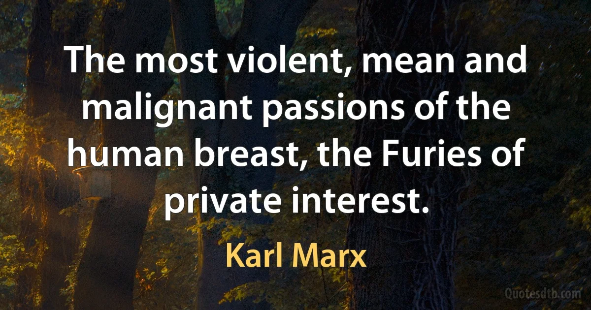 The most violent, mean and malignant passions of the human breast, the Furies of private interest. (Karl Marx)