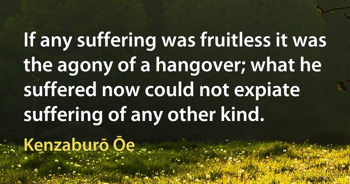 If any suffering was fruitless it was the agony of a hangover; what he suffered now could not expiate suffering of any other kind. (Kenzaburō Ōe)