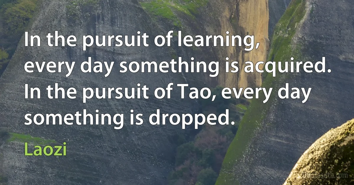 In the pursuit of learning, every day something is acquired. In the pursuit of Tao, every day something is dropped. (Laozi)