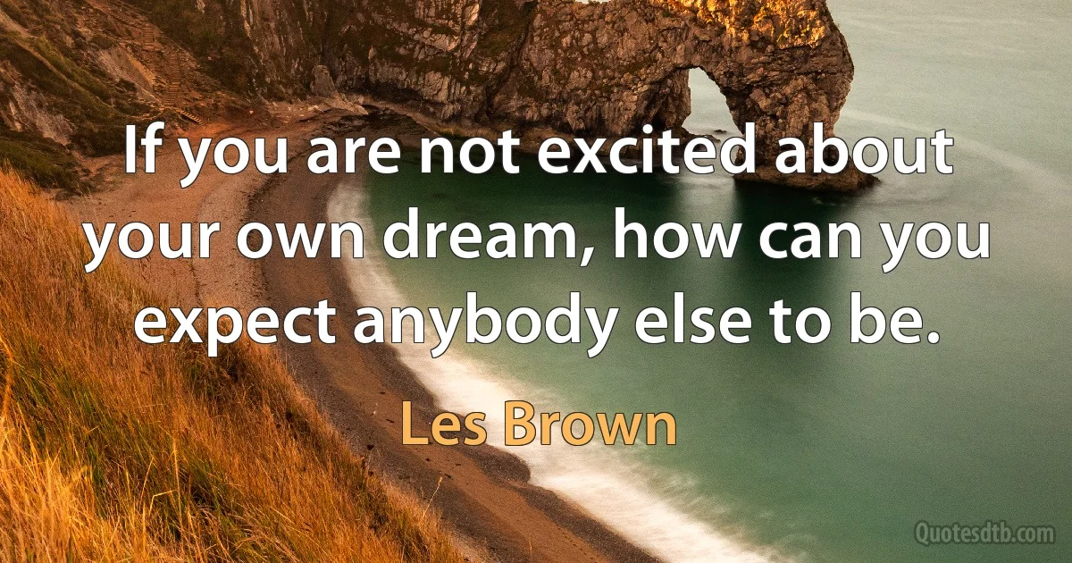 If you are not excited about your own dream, how can you expect anybody else to be. (Les Brown)