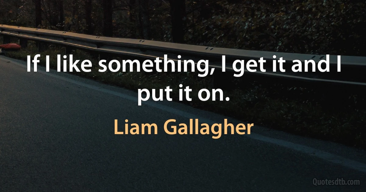 If I like something, I get it and I put it on. (Liam Gallagher)