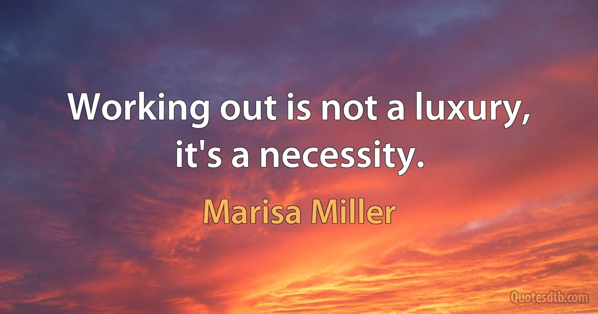 Working out is not a luxury, it's a necessity. (Marisa Miller)