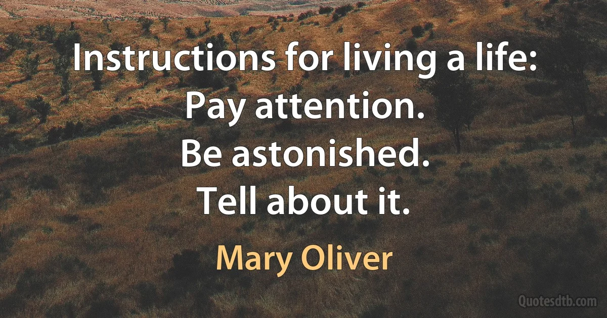 Instructions for living a life:
Pay attention.
Be astonished.
Tell about it. (Mary Oliver)