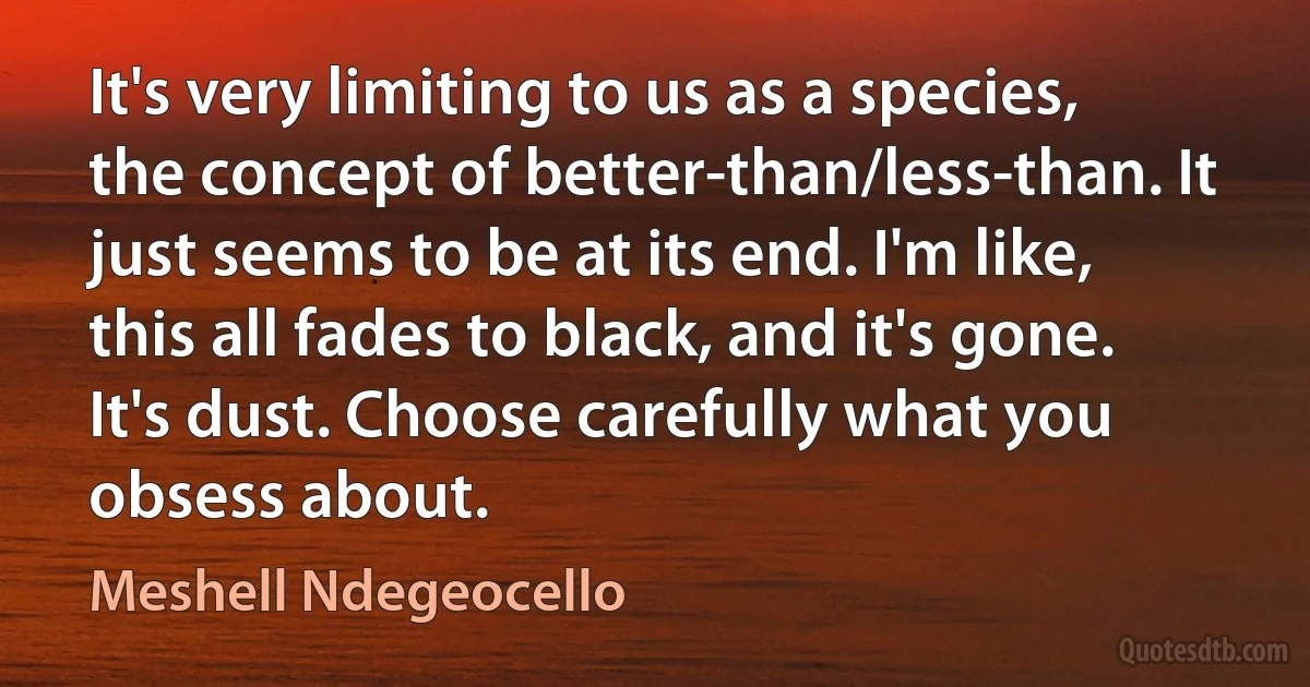 It's very limiting to us as a species, the concept of better-than/less-than. It just seems to be at its end. I'm like, this all fades to black, and it's gone. It's dust. Choose carefully what you obsess about. (Meshell Ndegeocello)