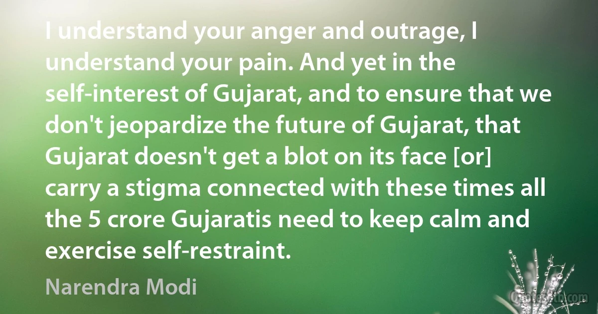 I understand your anger and outrage, I understand your pain. And yet in the self-interest of Gujarat, and to ensure that we don't jeopardize the future of Gujarat, that Gujarat doesn't get a blot on its face [or] carry a stigma connected with these times all the 5 crore Gujaratis need to keep calm and exercise self-restraint. (Narendra Modi)