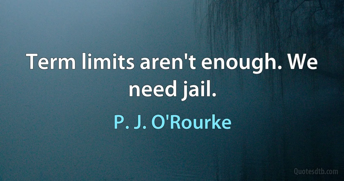 Term limits aren't enough. We need jail. (P. J. O'Rourke)