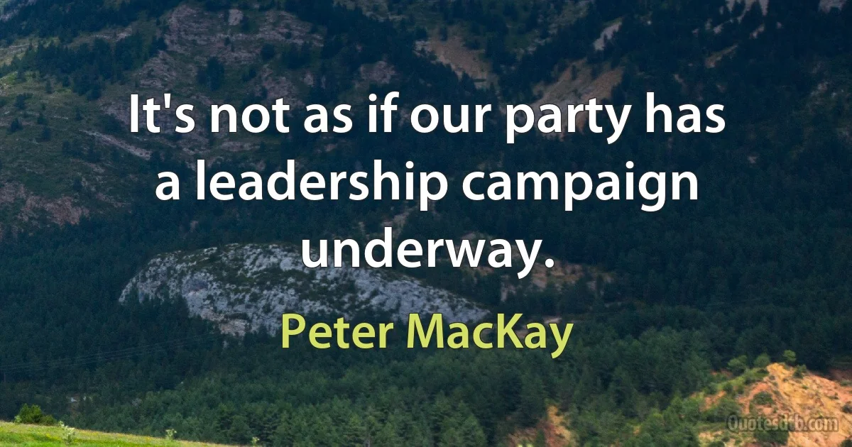 It's not as if our party has a leadership campaign underway. (Peter MacKay)