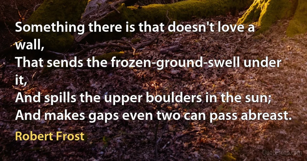 Something there is that doesn't love a wall,
That sends the frozen-ground-swell under it,
And spills the upper boulders in the sun;
And makes gaps even two can pass abreast. (Robert Frost)