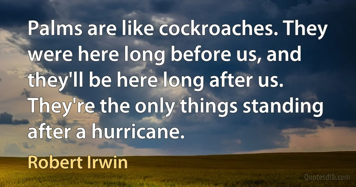 Palms are like cockroaches. They were here long before us, and they'll be here long after us. They're the only things standing after a hurricane. (Robert Irwin)