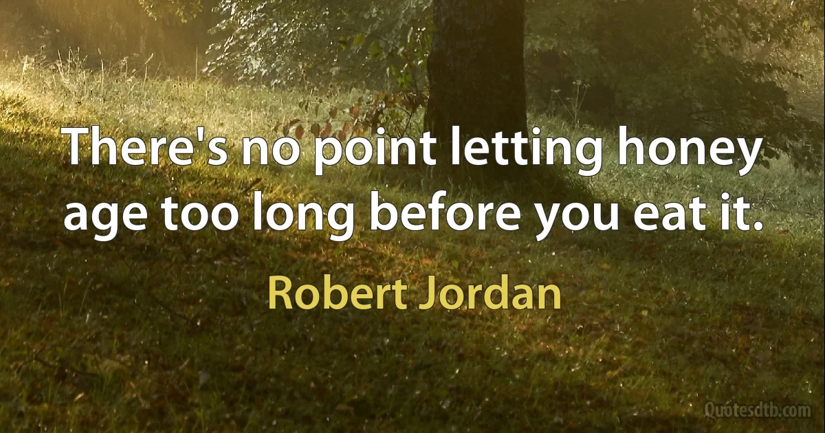 There's no point letting honey age too long before you eat it. (Robert Jordan)