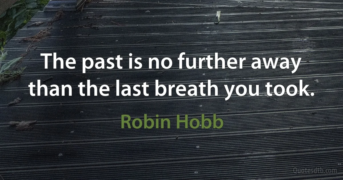 The past is no further away than the last breath you took. (Robin Hobb)