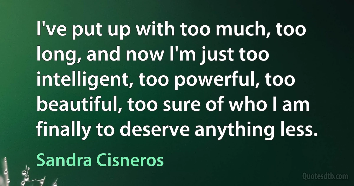 I've put up with too much, too long, and now I'm just too intelligent, too powerful, too beautiful, too sure of who I am finally to deserve anything less. (Sandra Cisneros)