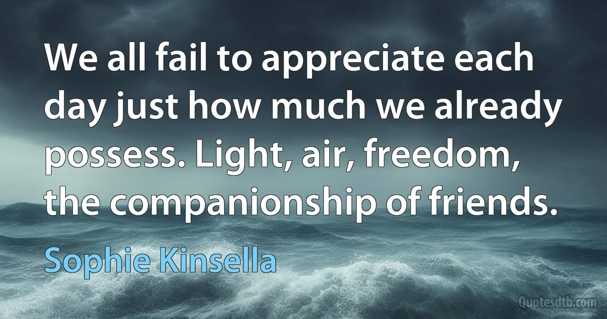 We all fail to appreciate each day just how much we already possess. Light, air, freedom, the companionship of friends. (Sophie Kinsella)