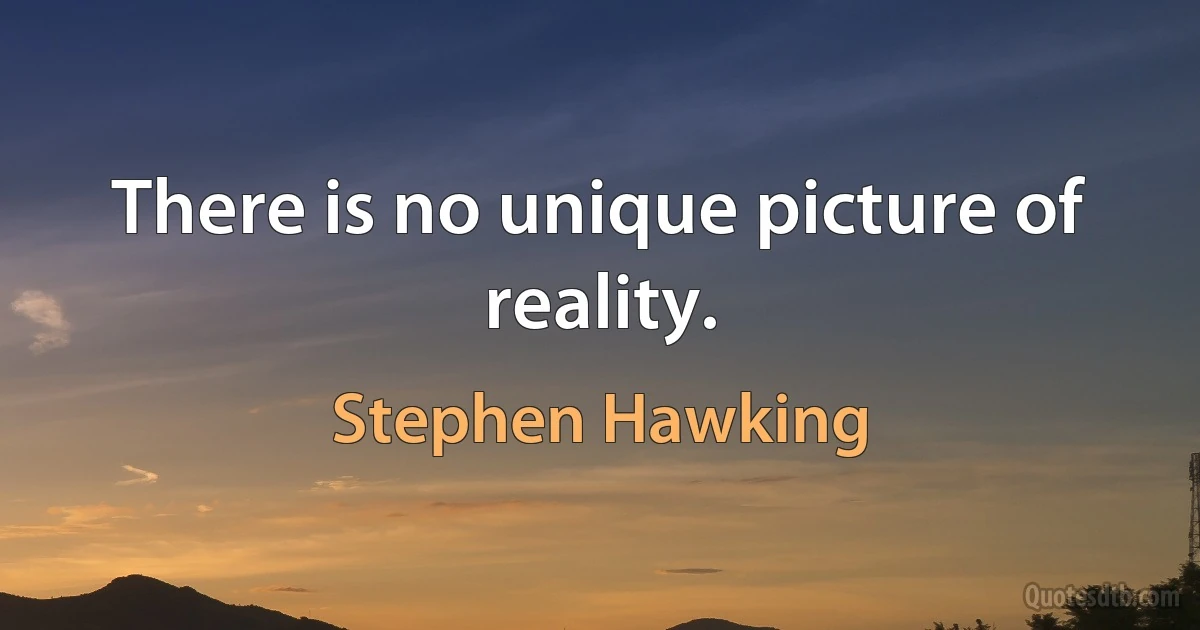 There is no unique picture of reality. (Stephen Hawking)