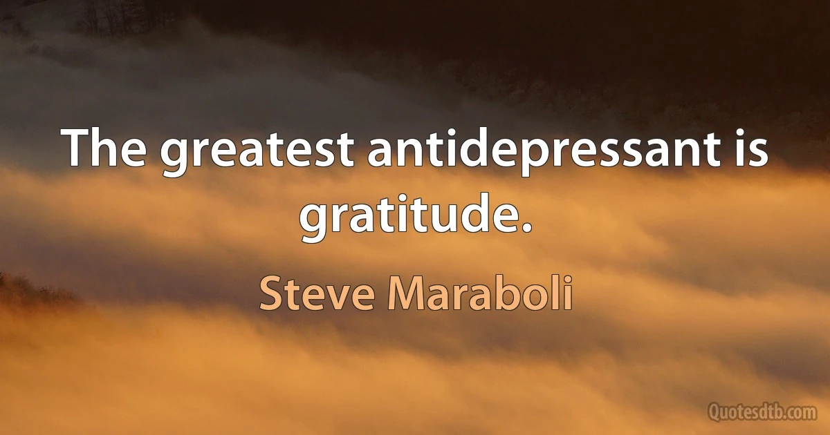 The greatest antidepressant is gratitude. (Steve Maraboli)