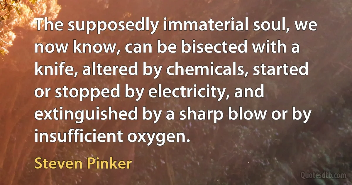 The supposedly immaterial soul, we now know, can be bisected with a knife, altered by chemicals, started or stopped by electricity, and extinguished by a sharp blow or by insufficient oxygen. (Steven Pinker)