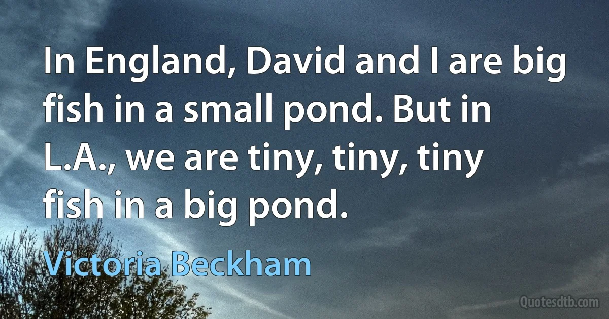 In England, David and I are big fish in a small pond. But in L.A., we are tiny, tiny, tiny fish in a big pond. (Victoria Beckham)