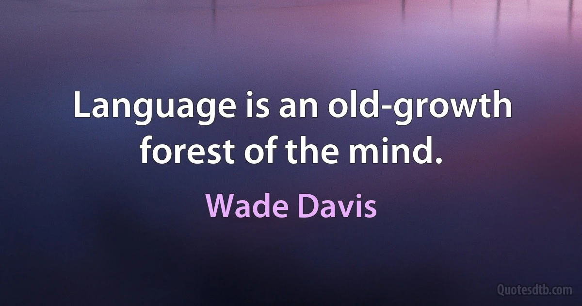 Language is an old-growth forest of the mind. (Wade Davis)