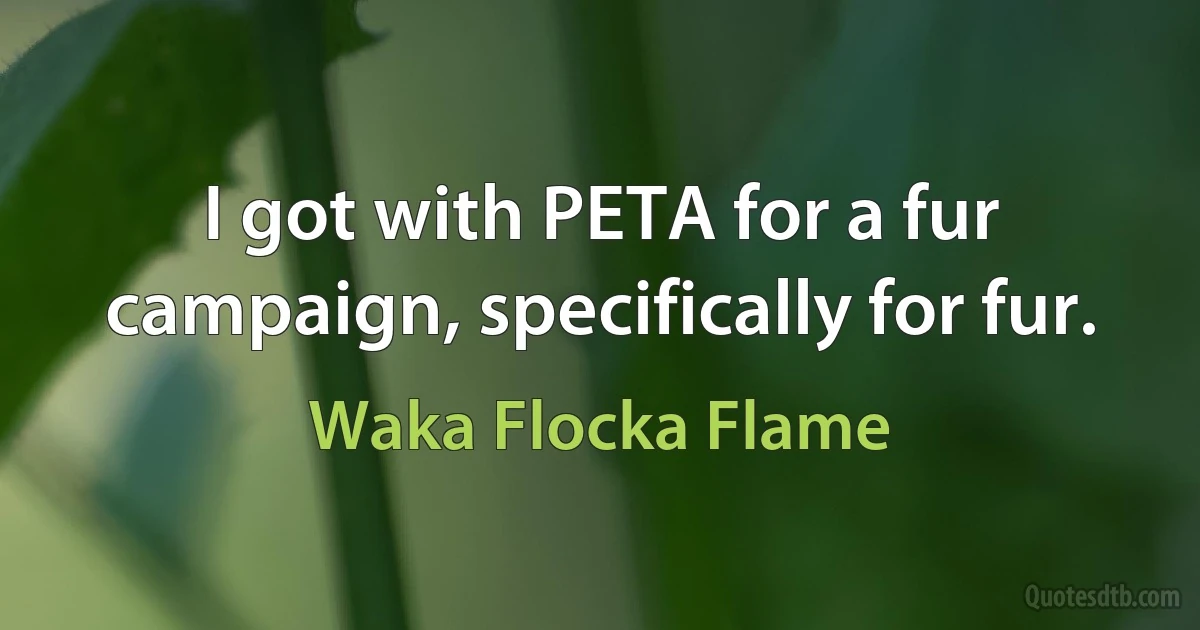 I got with PETA for a fur campaign, specifically for fur. (Waka Flocka Flame)